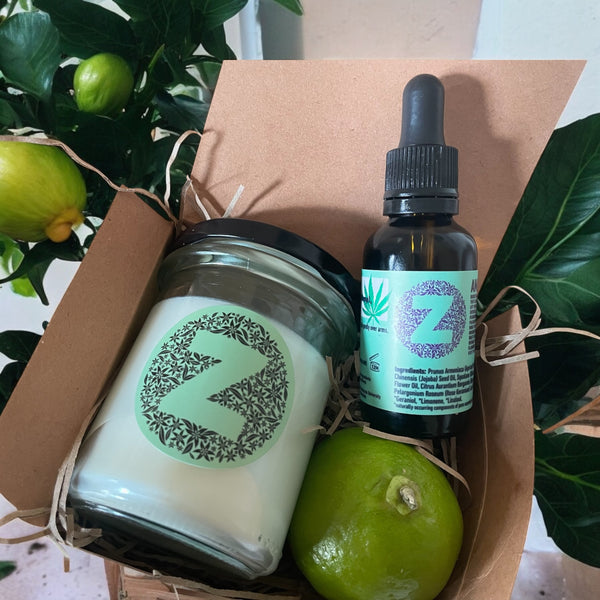Sustainable Subscription Club