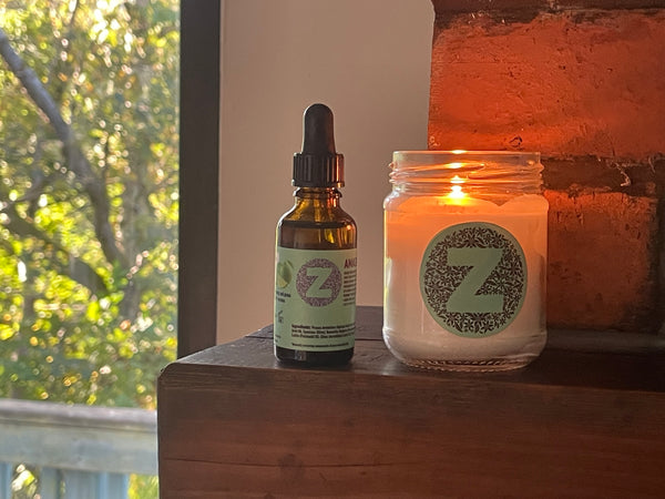 Sustainable Subscription Club