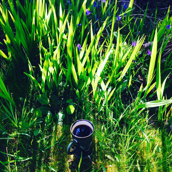 Heilan Coo Mug Candles in Traditional Scottish Aroma Blends